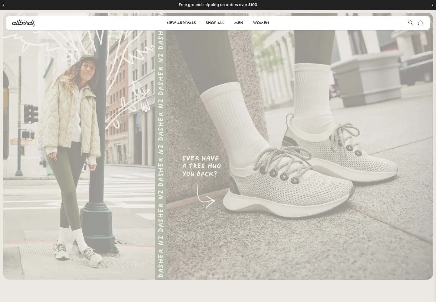 Allbirds desktop website interface