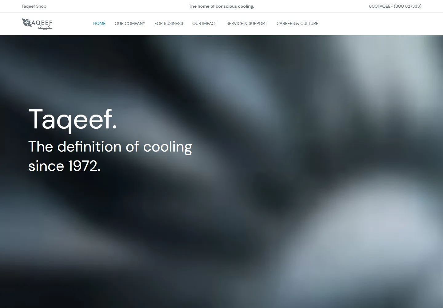 Taqeef desktop website interface